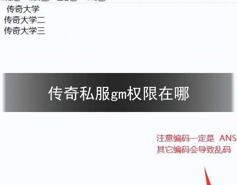 传奇私服gm权限在哪(传奇gm权限怎么调不了)